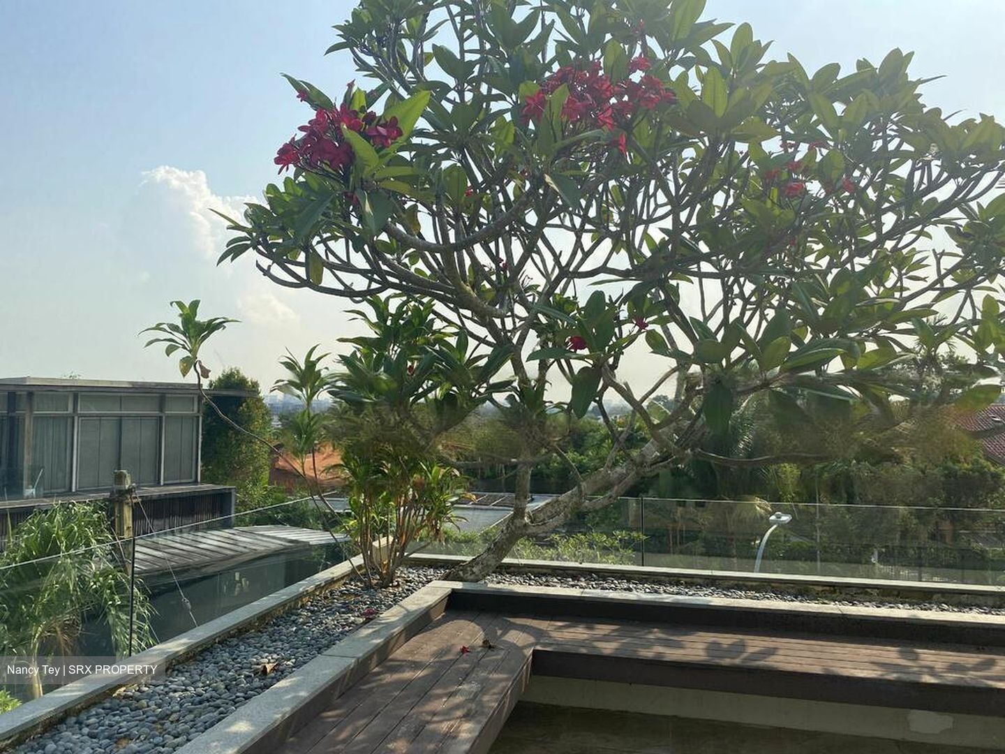 Raffles Park (D11), Detached #432641511